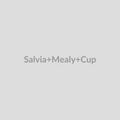 Salvia Mealy Cup