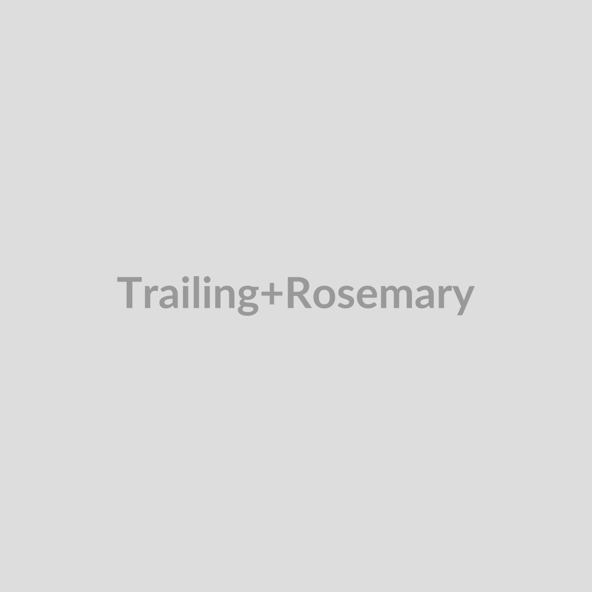 Trailing Rosemary