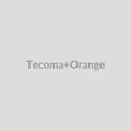Tecoma Orange