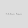 Bottlebrush (Regular)