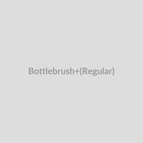 Bottlebrush (Regular)