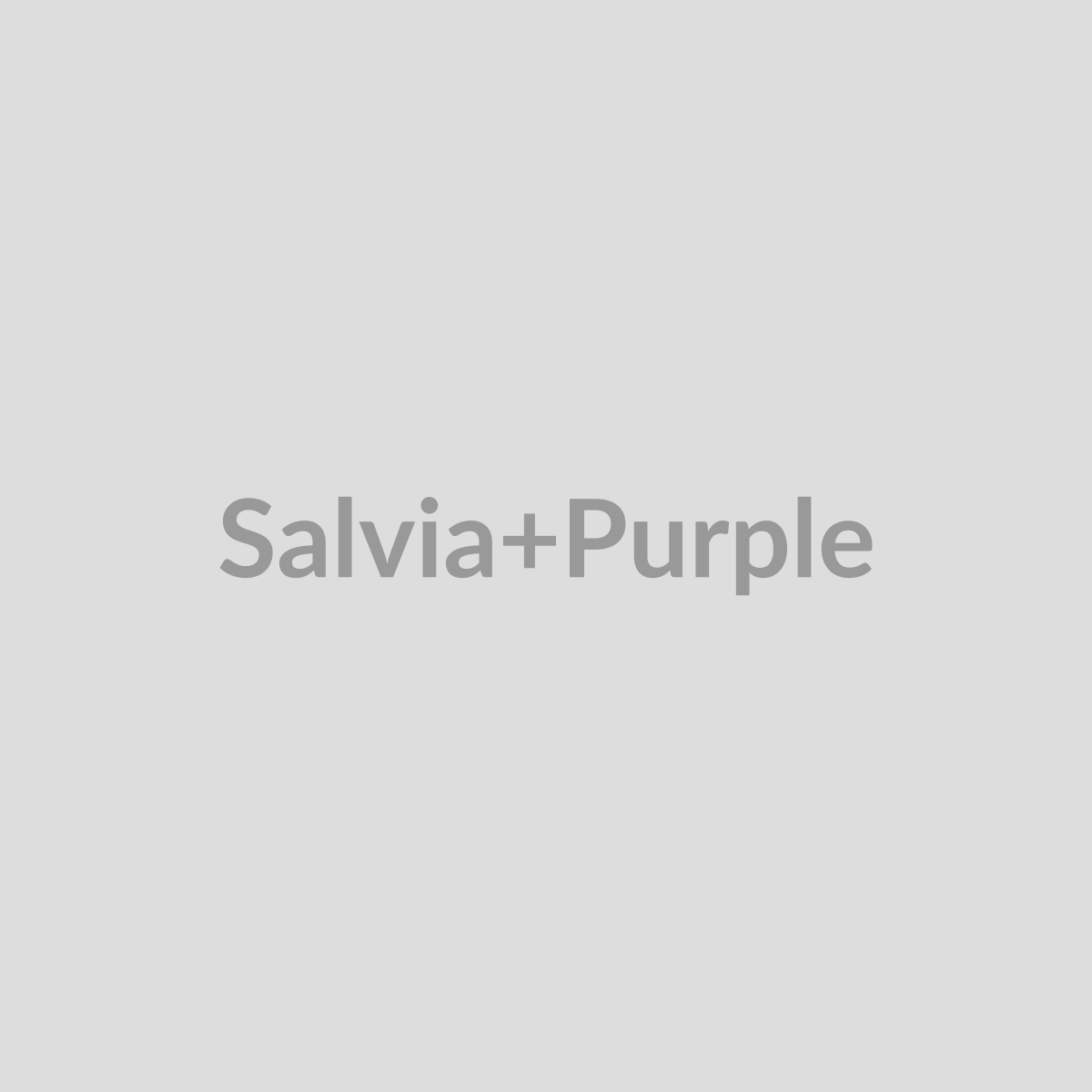 Salvia Purple