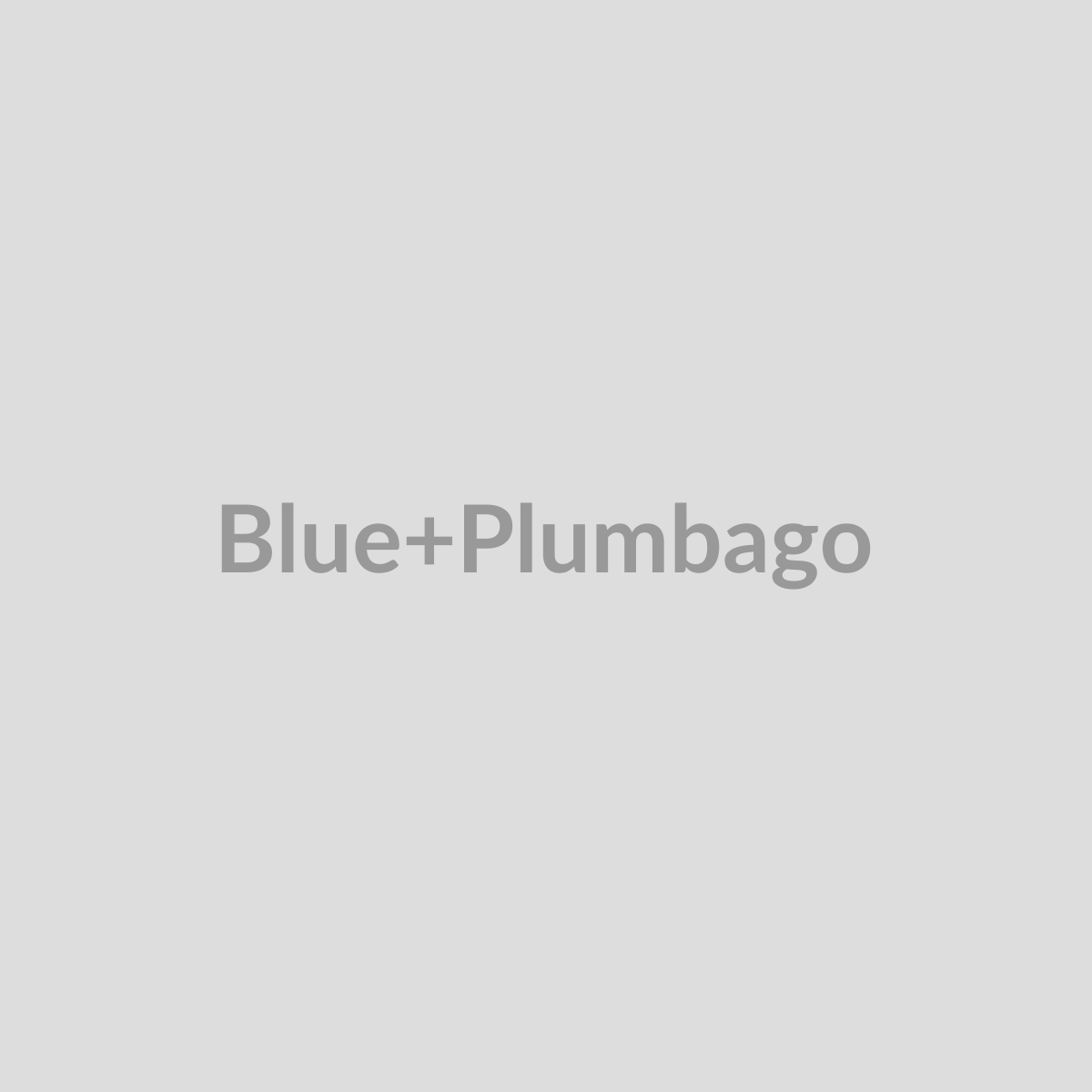 Blue Plumbago