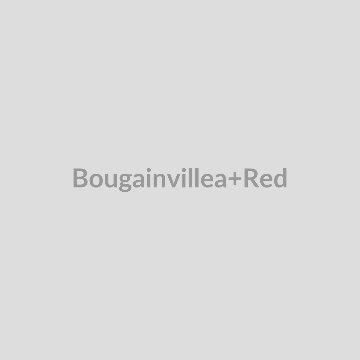 Bougainvillea Red